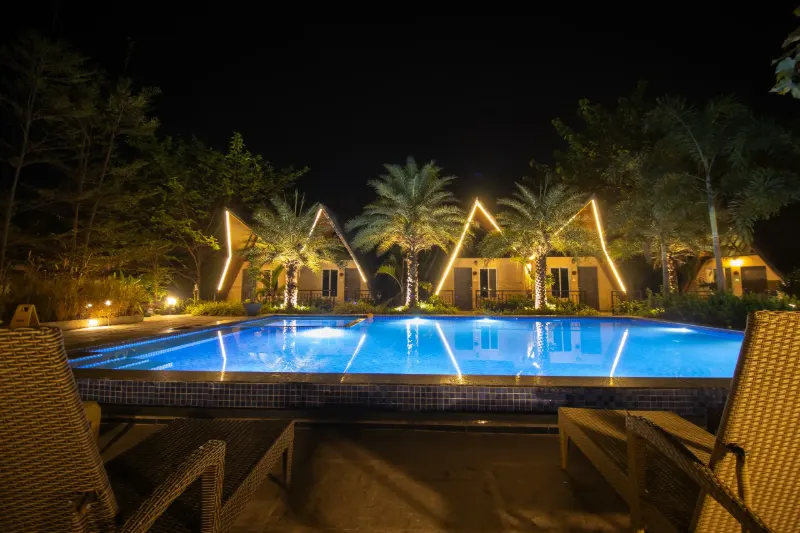 Swimming pool lit up at night at Birds Nest Resort